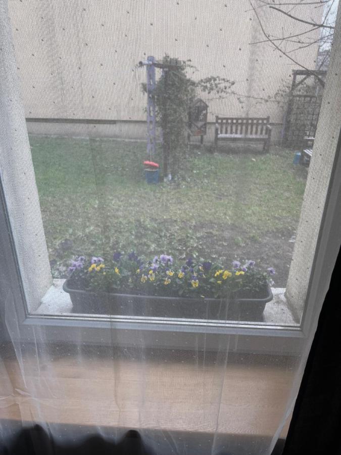 Wiola Appartamento Danzica Esterno foto